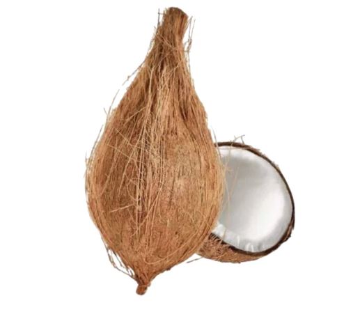 Pooja Coconut  with Hair