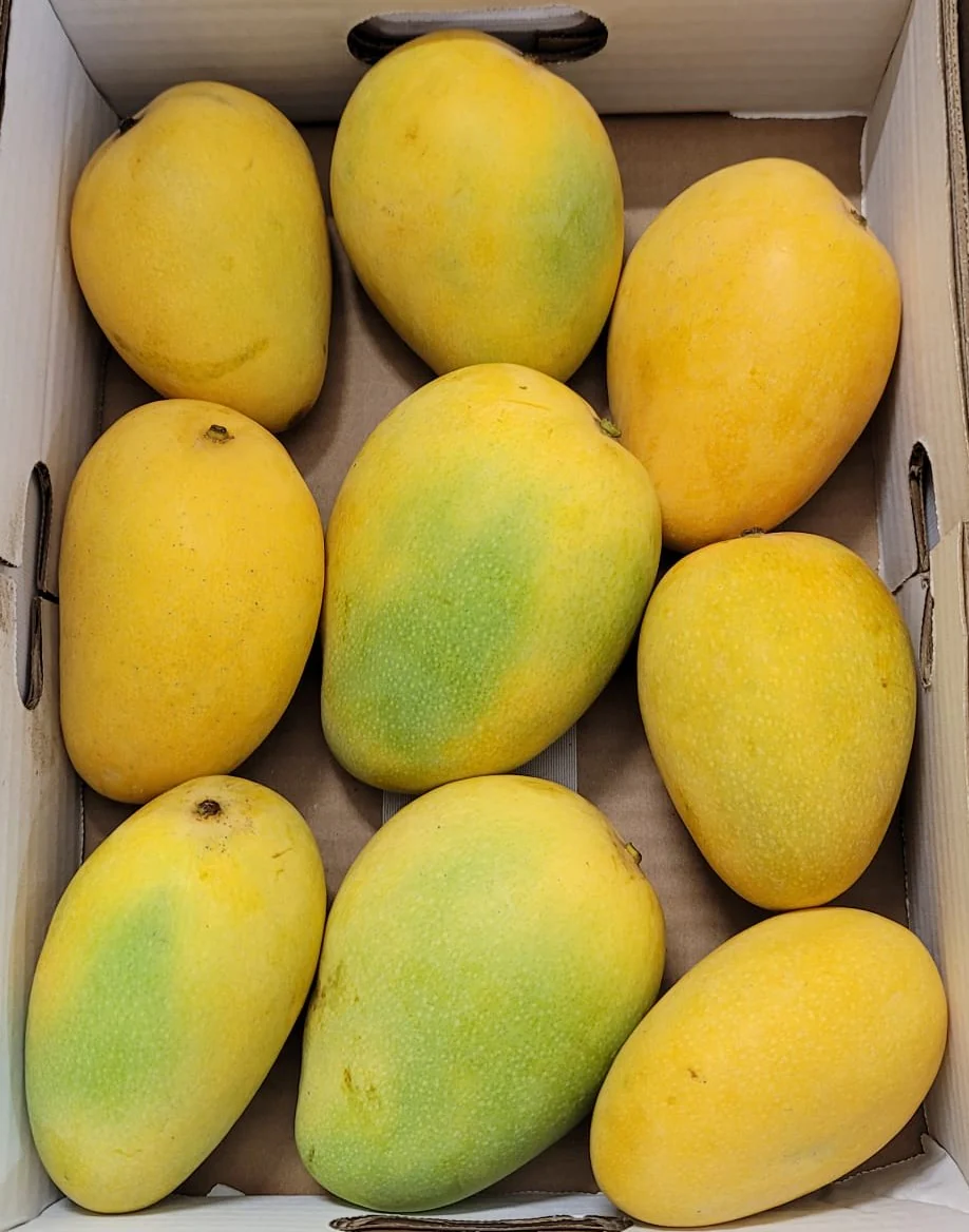 Banganapalli Mangoes