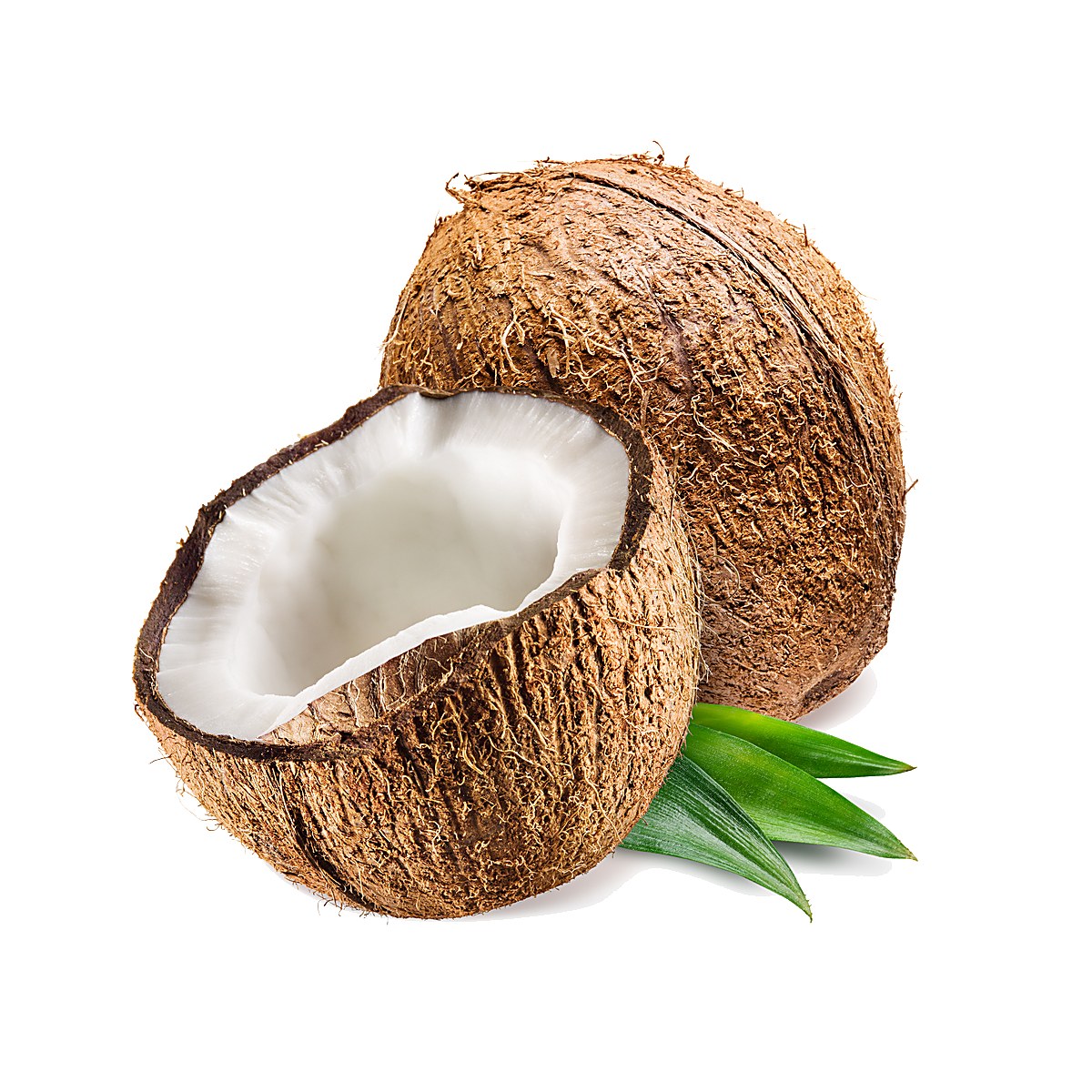 Coconut