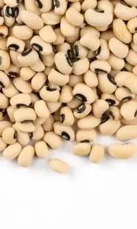 Periyar Cow Peas