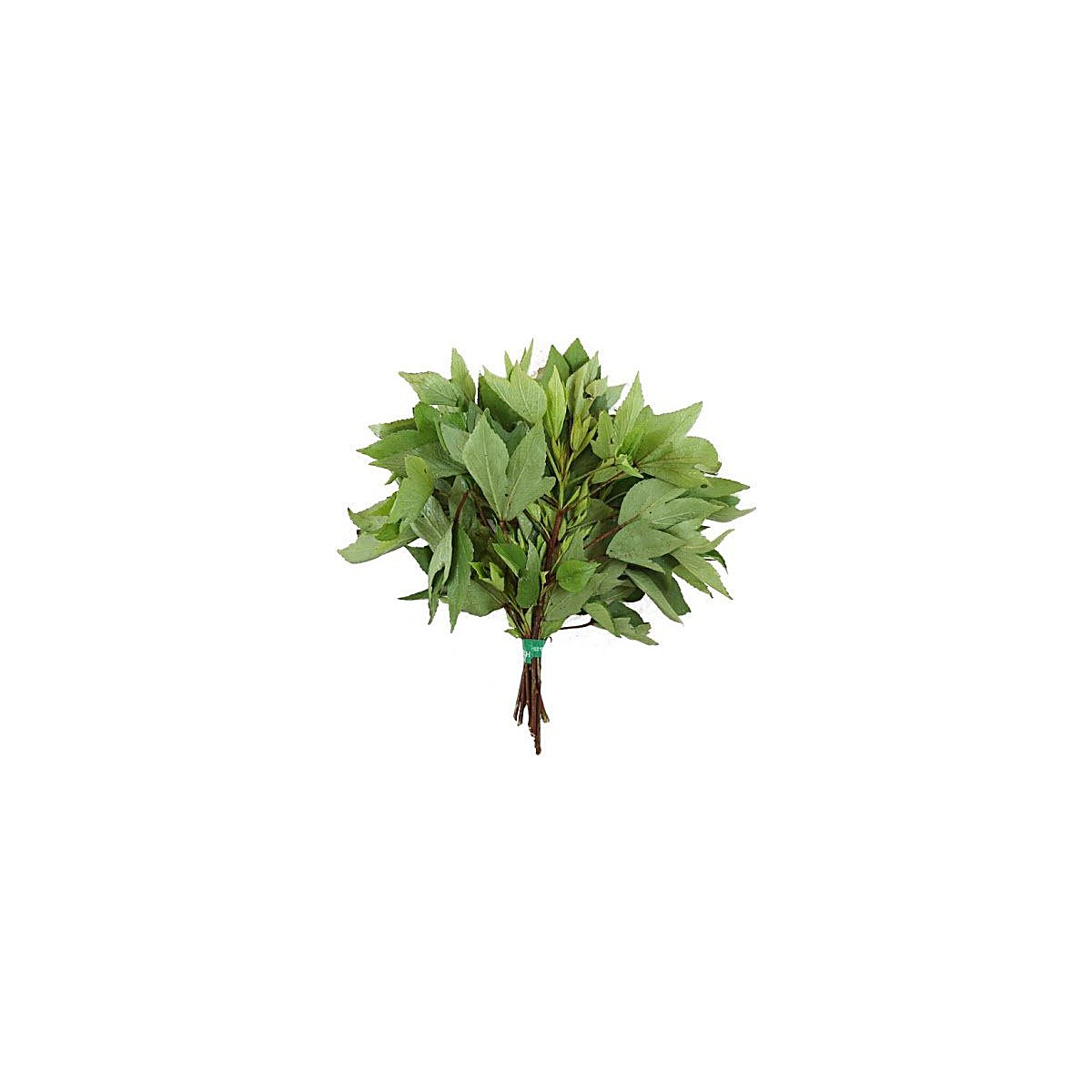 Gongura