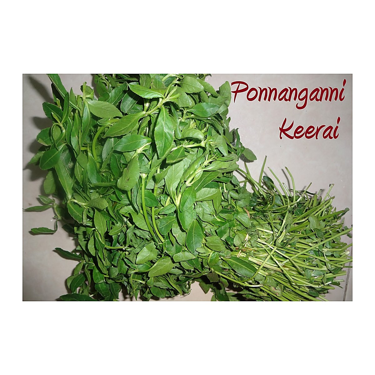Ponnaganni