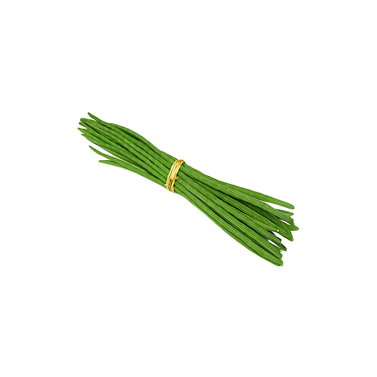 Drumstick