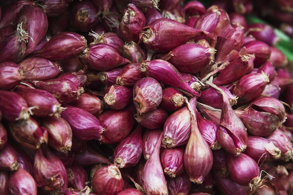 Small Onions