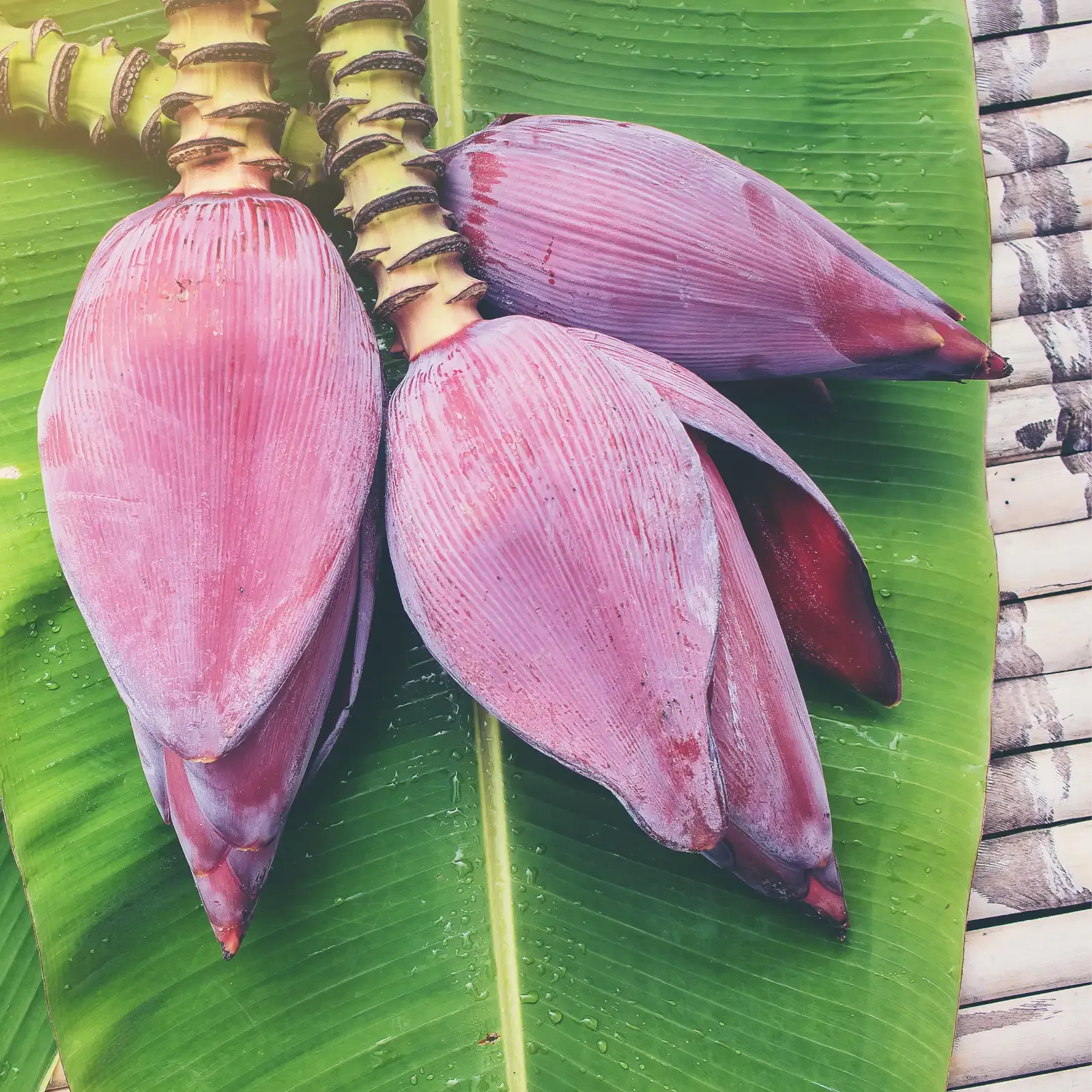Banana Flower